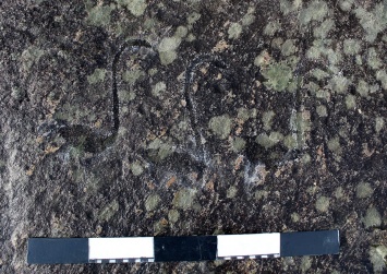 В Карелии обнаружены новые петроглифы