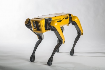 Четвероногие роботы Boston Dynamics появились в продаже