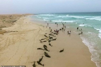 На пляже знаменитого курорта массовое самоубийство: сотни тел попали на фото