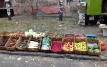 Жители Херсонщины жалуются на нитраты в овощах