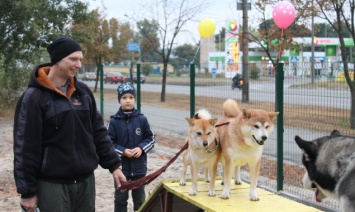 В Деснянском районе столицы открылась бесплатная площадка для выгула собак (фото)