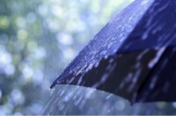 Не открывайте зонтик в помещении: "парасольные" приметы и суеверия