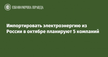 Импортировать электроэнергию из России в октябре планируют 5 компаний