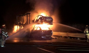 Автовоз с новыми Теслами загадочно сгорел на шоссе (ФОТО)