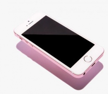 Изображение бюджетного iPhone SE2 появилось в сети