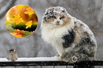 Почти зимняя погода: синоптик назвала даты сильного похолодания в Украине