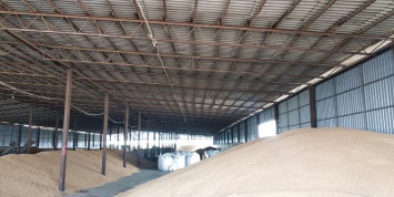 Новый завод покроет три четверти потребности крымских аграриев в семенном материале
