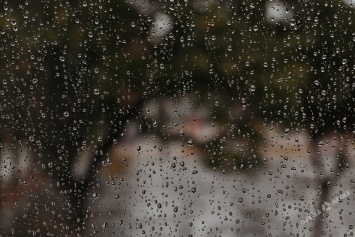 Осенняя Одесса после дождя сквозь объектив (фоторепортаж)