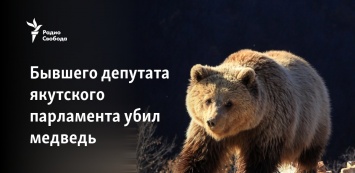 Бывшего депутата якутского парламента убил медведь