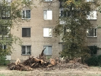 В Мелитополе из сквера получилась свалка (фото)