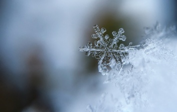 В Киеве выпал первый снег