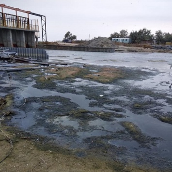 Реконструкцию канала на Тилигуле провели некачественно: остались мусор и гниющая вода