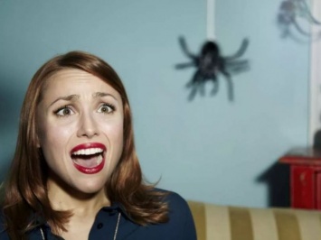 Арахнофобия: почему люди боятся пауков?