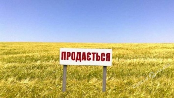 Снятие моратория на продажу земли: пострадает ли аграрная Одесская область от принятия закона?