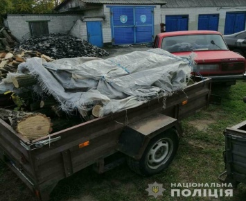 В Петропавловке полиция задержала незаконного лесоруба