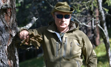 Сколько россиян не одобряют работу Путина