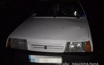 В Запорожской области задержали водителя «ВАЗ-2109», который сбил пешехода (ФОТО)