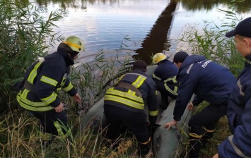 Тело девятилетней девочки нашли в реке на Днепропетровщине