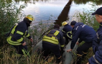 Под Днепром ребенок трагически погиб при падении с моста