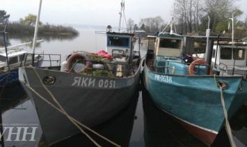 На Киевском и Каневском водохранилищах почти исчерпан допустимый объем промышленного вылова рыбы