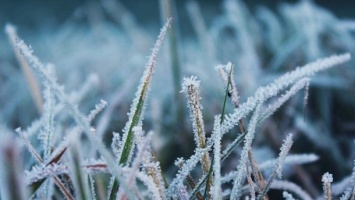 Морозное утро в Запорожье: замерз грунт и стекла (ФОТО)