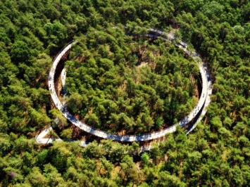 В бельгийском лесу построили велосипедную дорожку на высоте 10 метров. Фото, видео