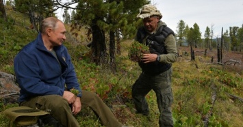 Tages-Anzeiger: Владимир Путин собирал грибы со своим преемником?
