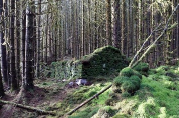 Раскрыта тайна загадочного сооружения в лесах Шотландии