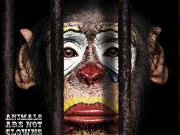 Украинцы требуют запретить использование животных в цирках