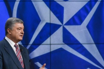 Порошенко на заседании ассамблеи НАТО назвал 7 шагов для избежания ловушки Кремля