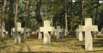 Поляков призывают сдавать генетический материал для идентификации жертв Волынской резни