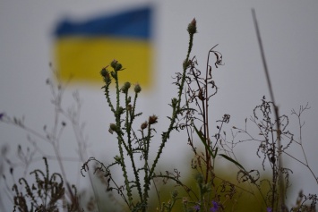 Украинцы «поиграли на нервах» боевиков, красноречивые фото: «Встречайте!»