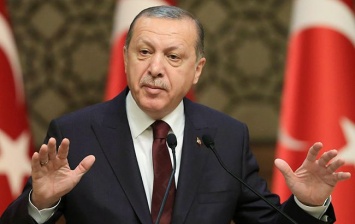 Турция не претендует на сирийские территории, - Эрдоган