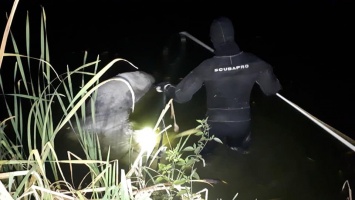 Из озера в Киеве спасатели ночью достали необычного утопленника. Фото