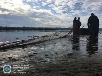 Водоемы Николаевщины находятся в депрессивном состоянии - рыбоохранный патруль