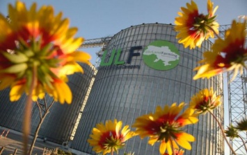 УЛФ Бахматюка загрузил на элеваторы более 1,2 млн тонн зерновых нового урожая