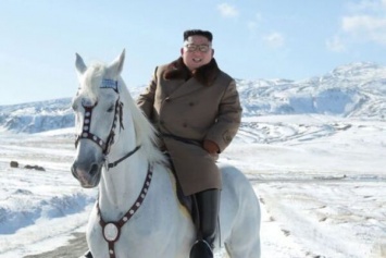 ''Путин сделал бы это голым'': Ким Чен Ын на коне стал героем мемов