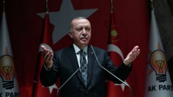 Bloomberg сравнил действия Эрдогана в Сирии с «крымской весной»