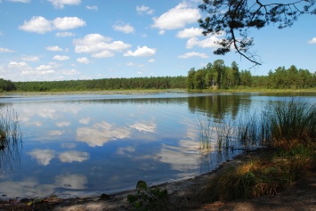 В Апостоловском районе предприниматели арендовали озеро и осушили его