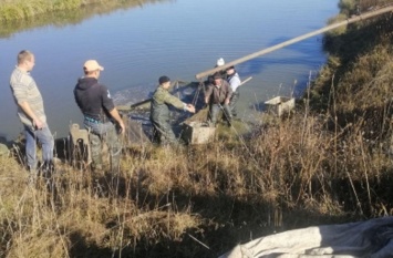 В Каневское водохранилище выпущено 4 тонны рыбы
