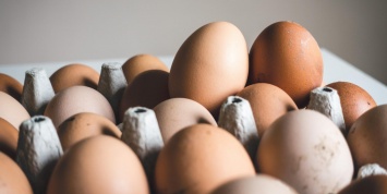 Россиян уличили в чрезмерном потреблении яиц