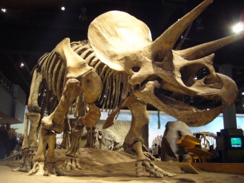 Палеонтологи выдвинули новую гипотезу о причине вымирания динозавров