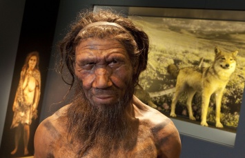Археологи разгромили ранние гипотезы о неандертальцах