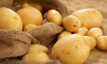В поступившей на рынок "Столичный" в Киеве белорусской картошке превышено содержание нитратов, - Госпродпотребслужба