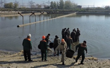 В пруд Запорожской АЭС запустили рыбок