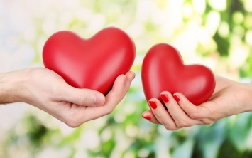 Зарегистрируйте брак и интимные отношения: в Раде решили узаконить «любовь»
