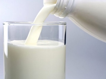 Не только молоко: продукты, которые дают много кальция