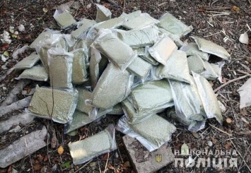 Под Мариуполем нашли 20 кг марихуаны, - ФОТО