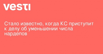 Стало известно, когда КС приступит к делу об уменьшении числа нардепов