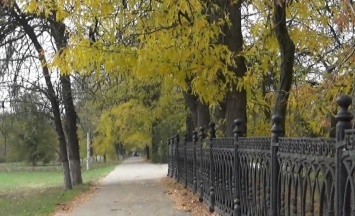 Осень раскрасила Акимовку волшебными красками (видео)